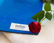 Indigo System
